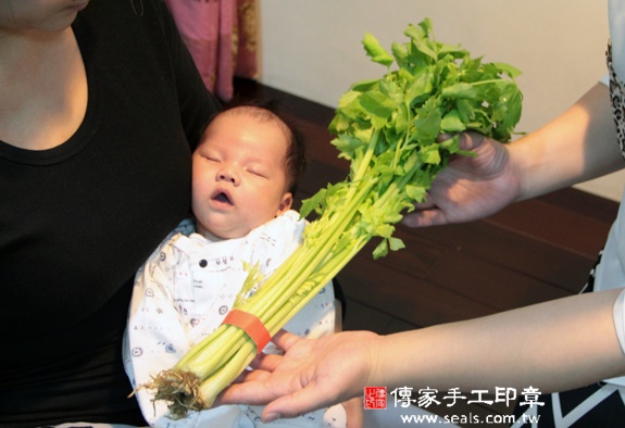 楊寶寶(新北汐止區到府嬰兒寶寶滿月剃頭理髮、免費到府嬰兒剃胎毛儀式吉祥話)。到府剃頭剃胎毛主持、專業拍照、DVD光碟、證書。★購買「臍帶章、肚臍章、胎毛筆刷印章」贈送：剃頭、收涎、抓周，三選一。2015.11.20 照片11